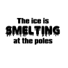 The ice is smelting at the poles