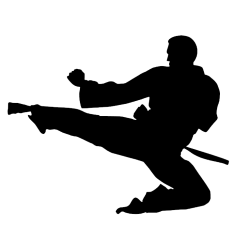 Kampsport