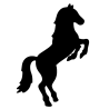 Hest
