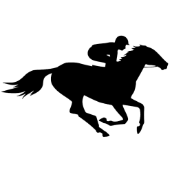 Rytter til hest