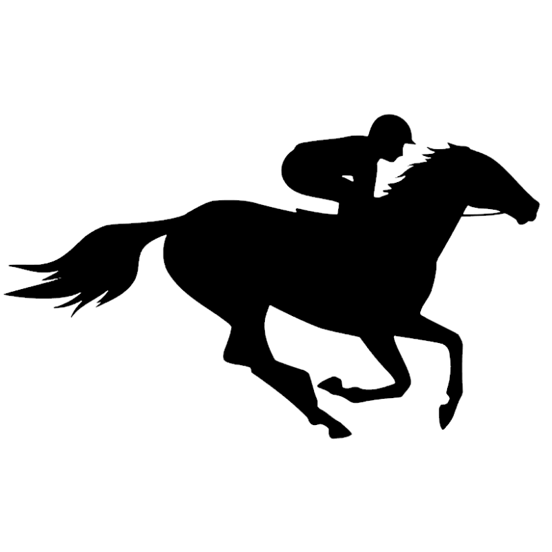 Rytter til hest