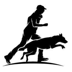 Hundetræning