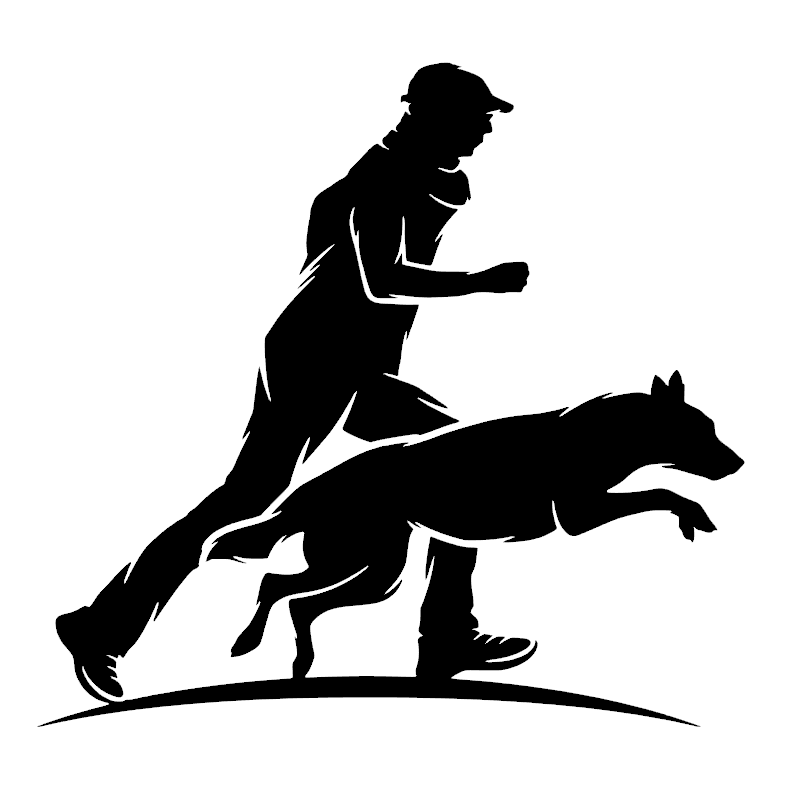Hundetræning