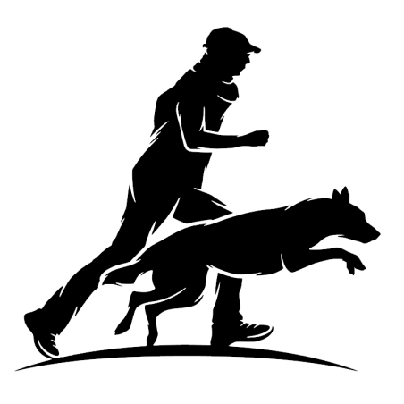 Hundetræning