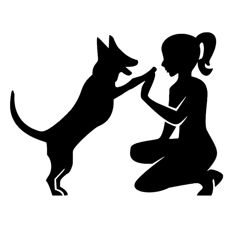 Hundetræning 2