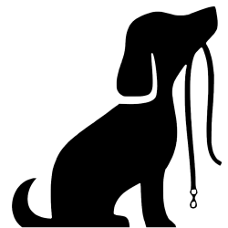 Hundetræning 3