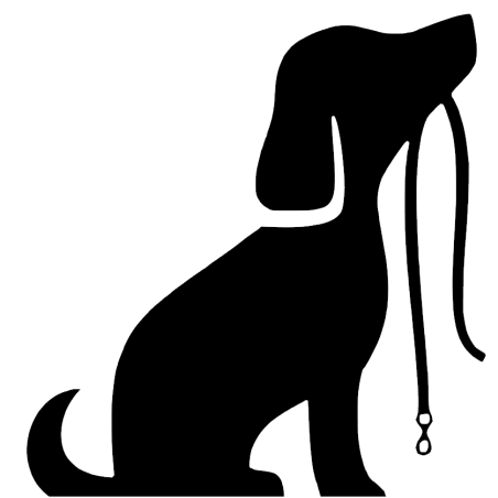 Hundetræning 3